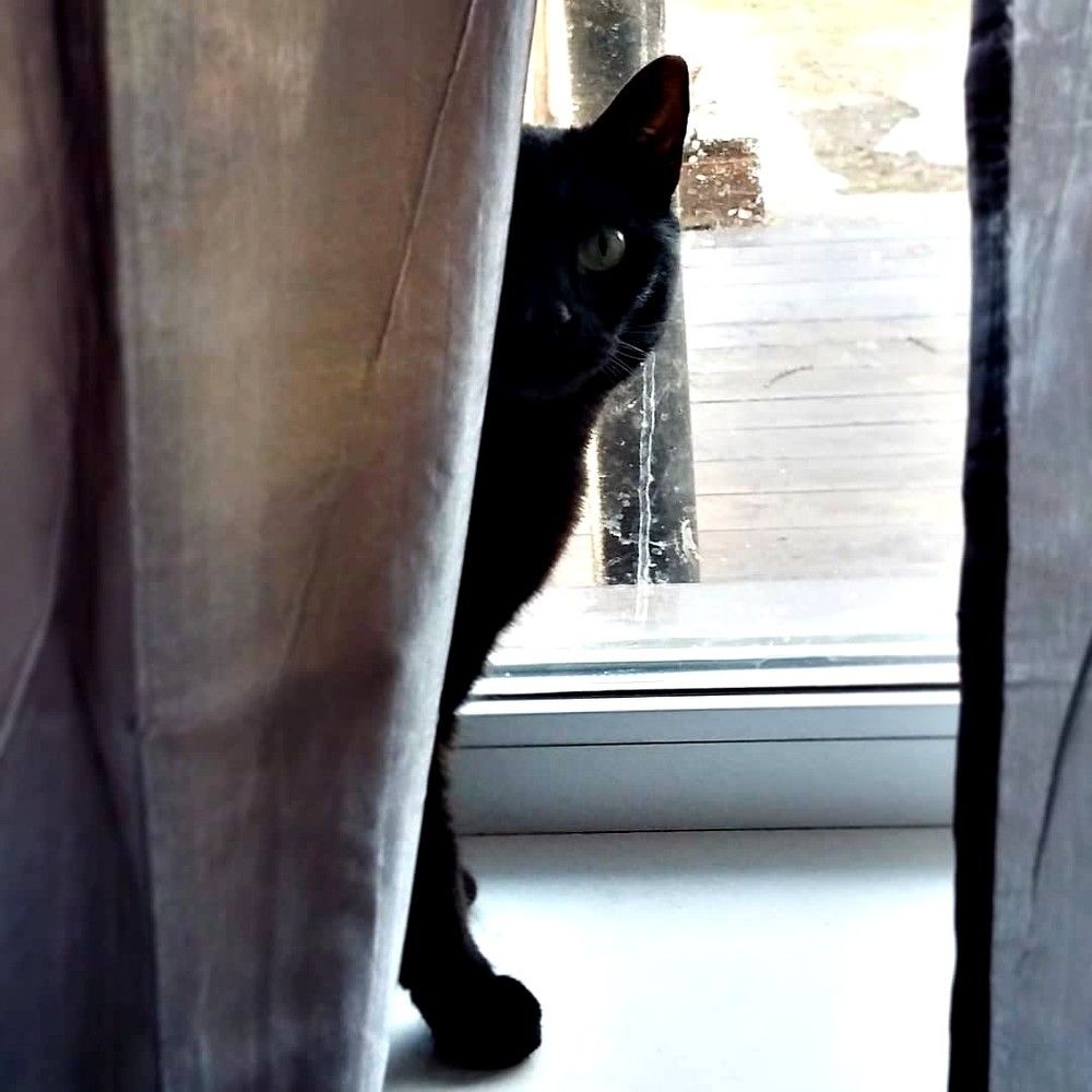 HELLO / привет