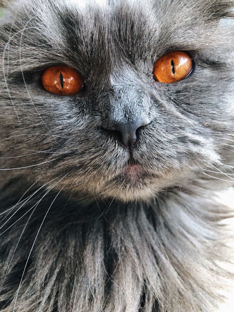 Photograph by Анастасия Плакса