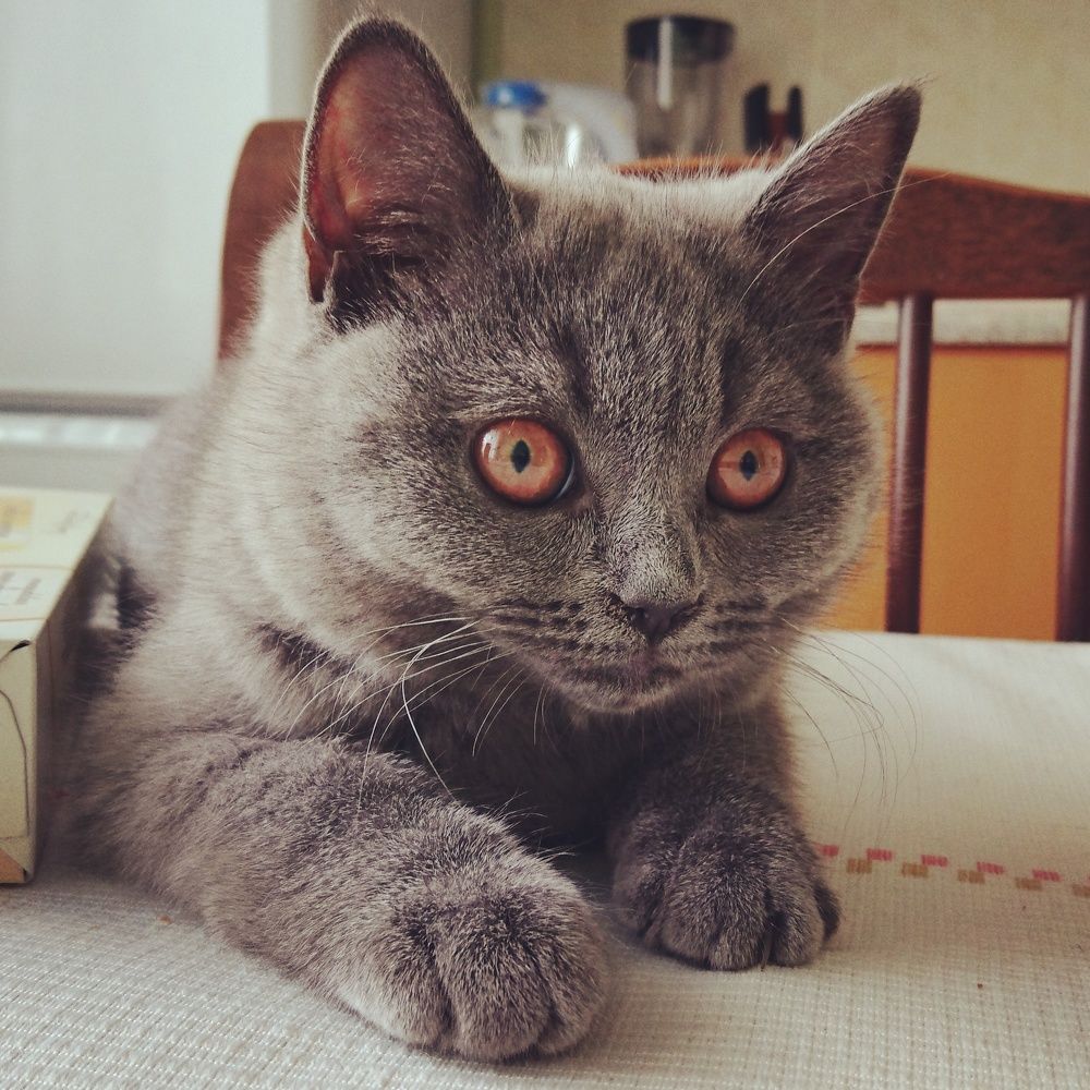 Photograph by Анастасия Плакса