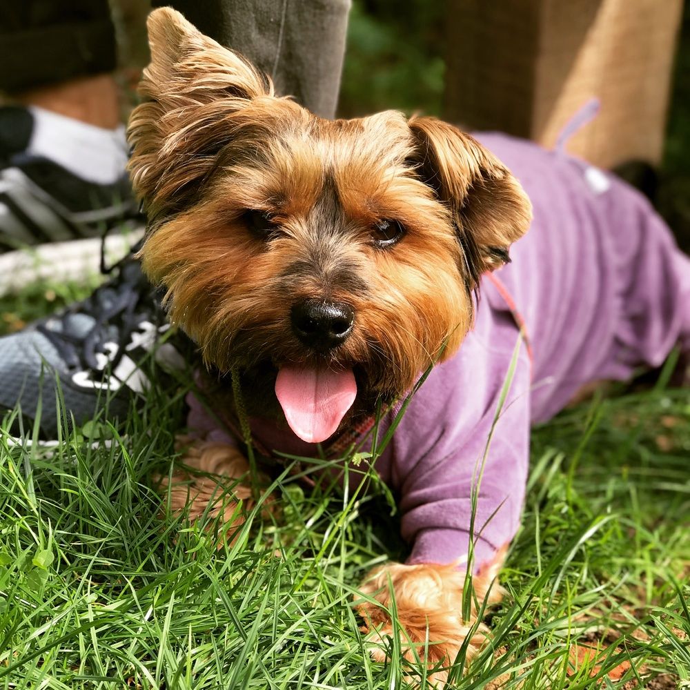 Photograph by Анастасия Плакса