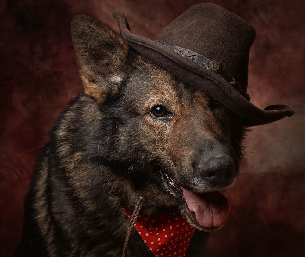 Photograph by Ирина Зайцева