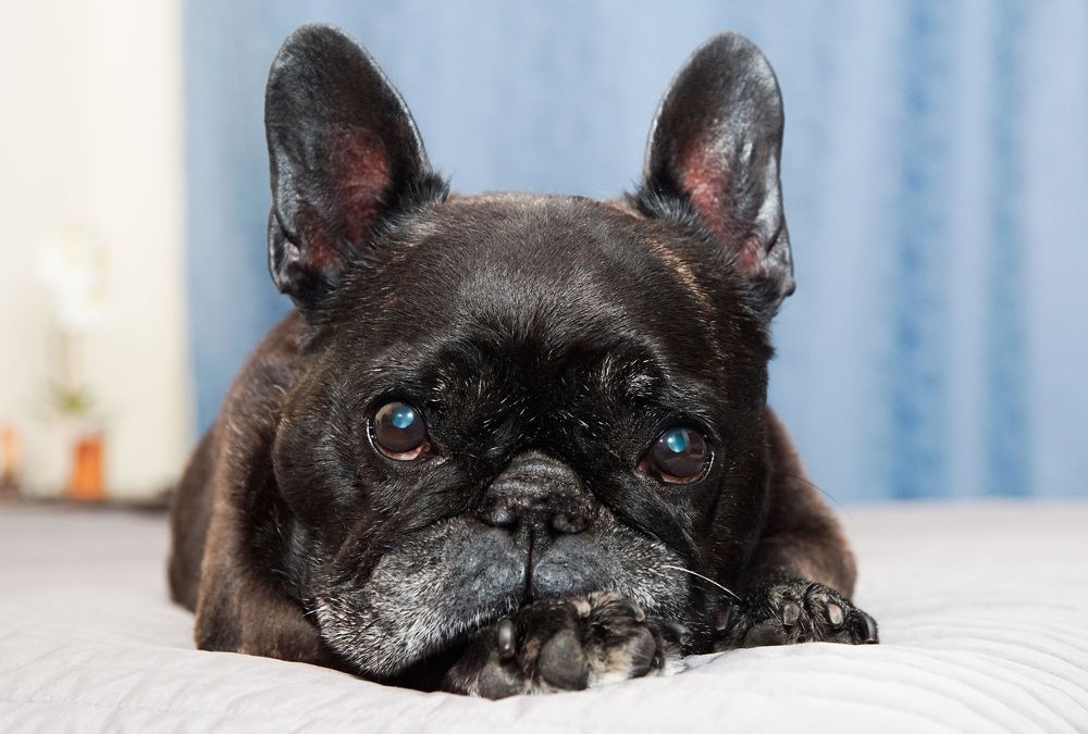 Photograph by Анна Васильева