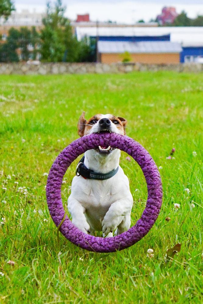 Photograph by Анна Васильева