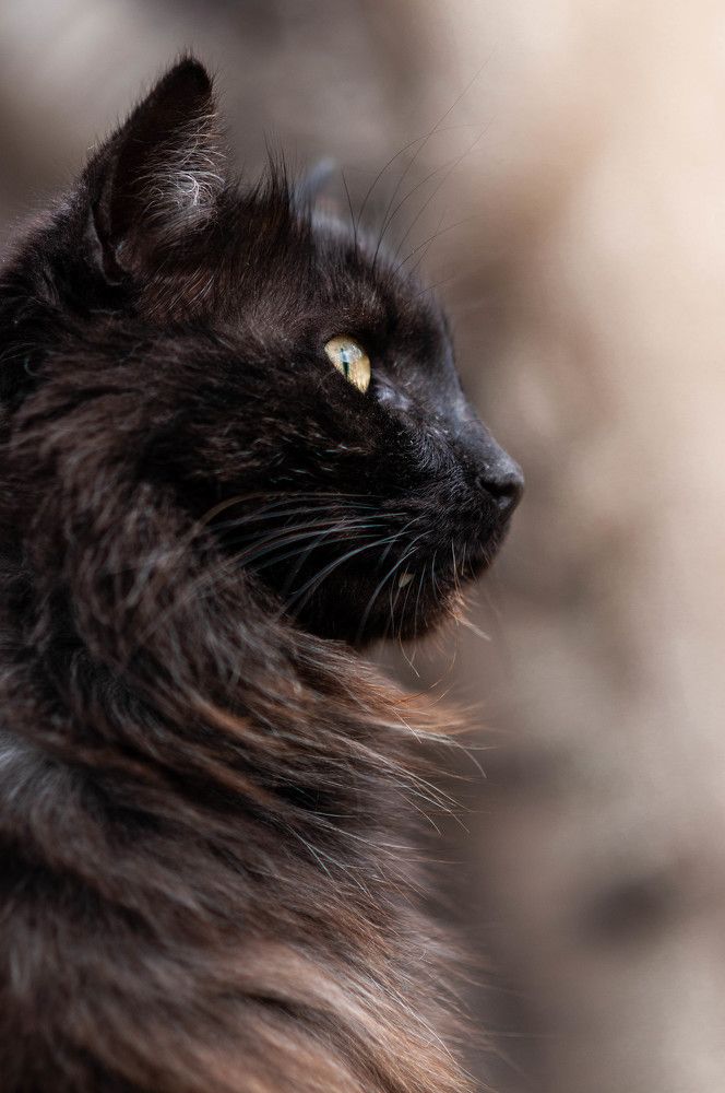 Photograph by Ольга Кудина