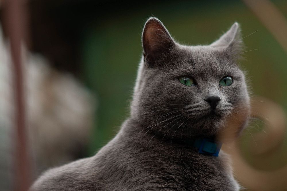 Photograph by Ольга Кудина