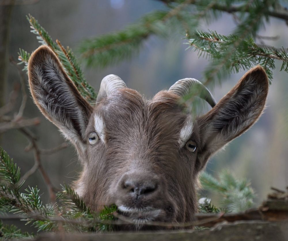 Photograph by Ольга Кудина