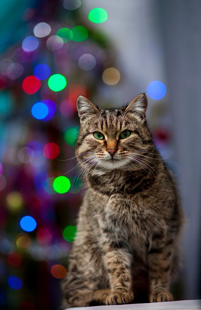 Photograph by Наталья Соболева