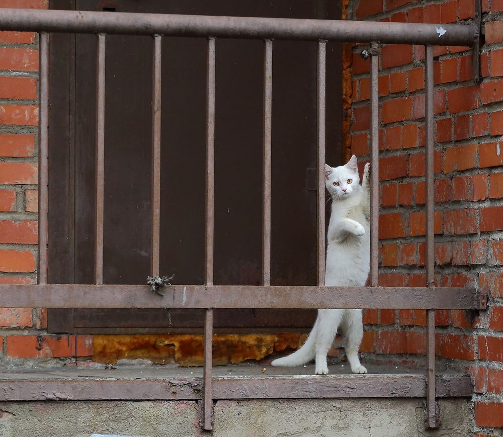 Photograph by Станислав Вершинин