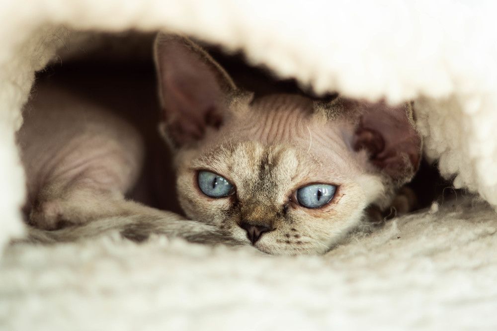 Photograph by Katya Slavich