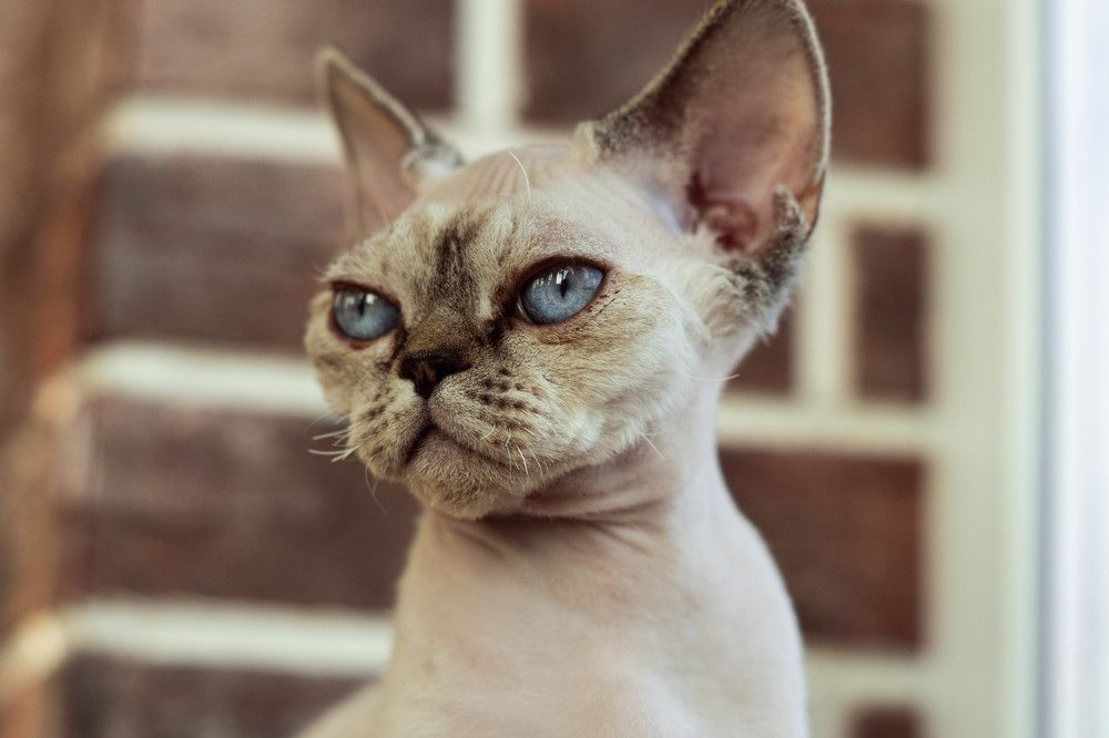 Photograph by Katya Slavich