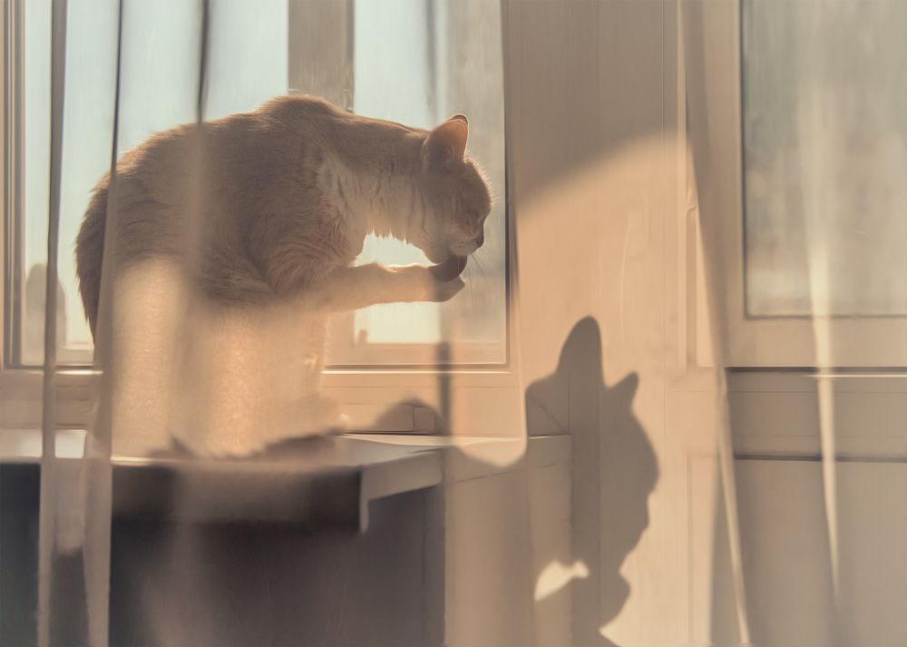 Ванильное утро