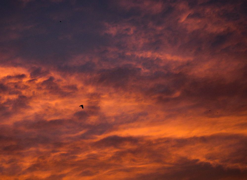 Photograph by Fardeen Sadab