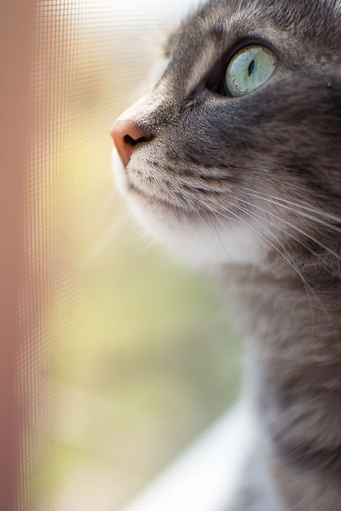 Photograph by Светлана Ветрова