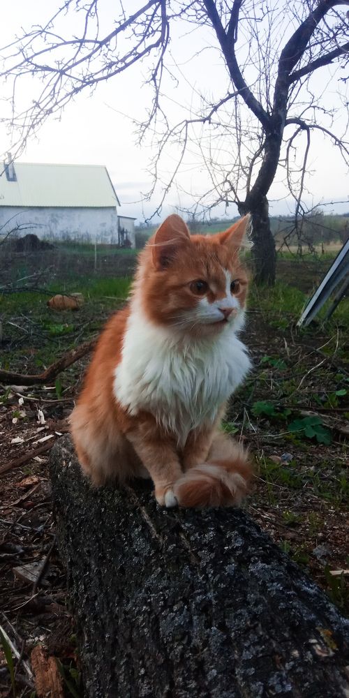 Photograph by Дарья Лазарева