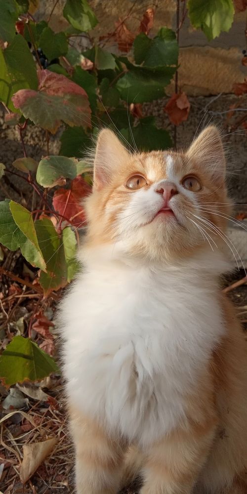 Photograph by Дарья Лазарева