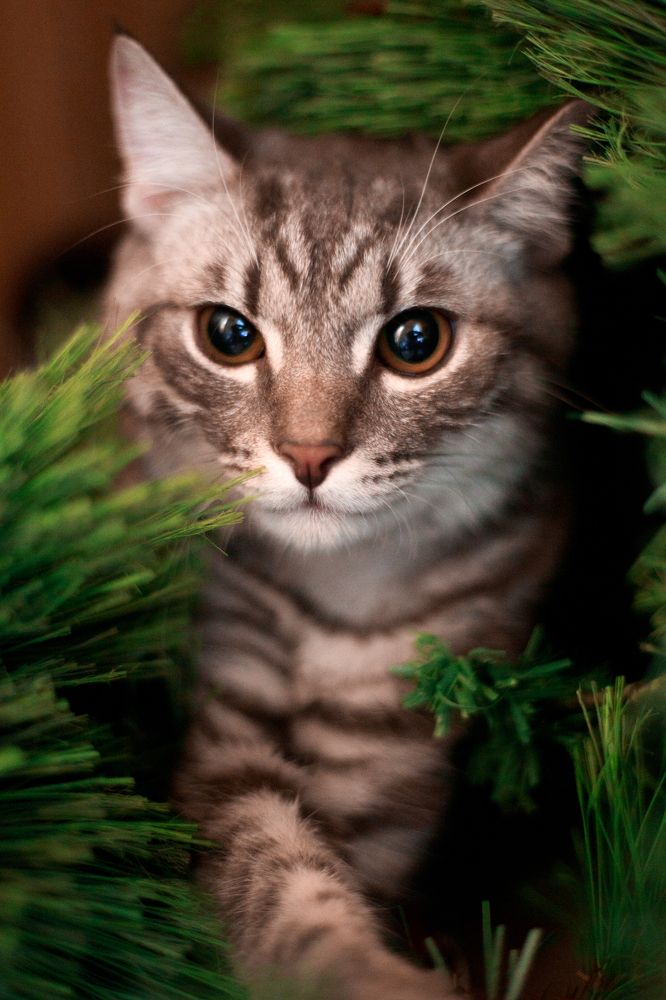 Photograph by Оксана Корчагина