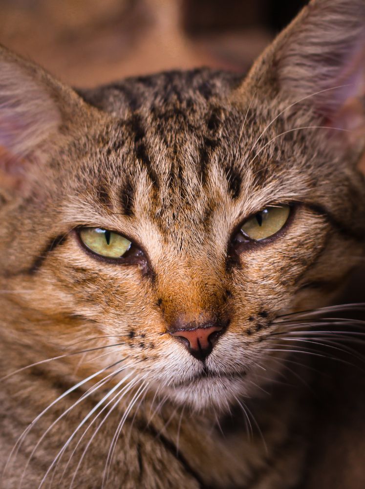 Photograph by Fatima Yusuf