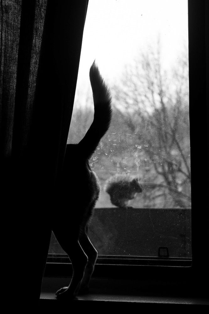 Photograph by anita parish