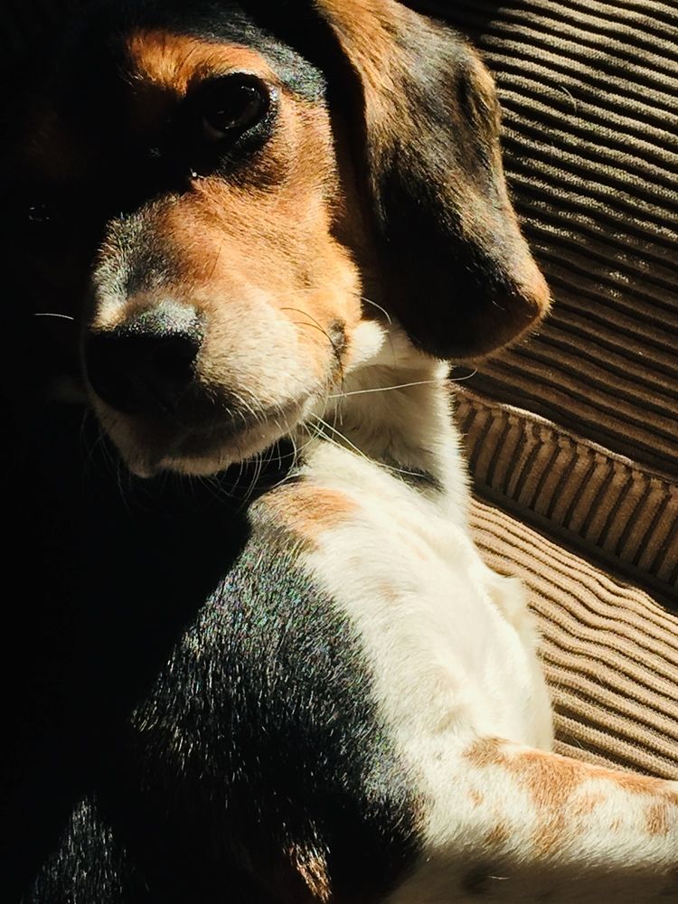 Photograph by anita parish