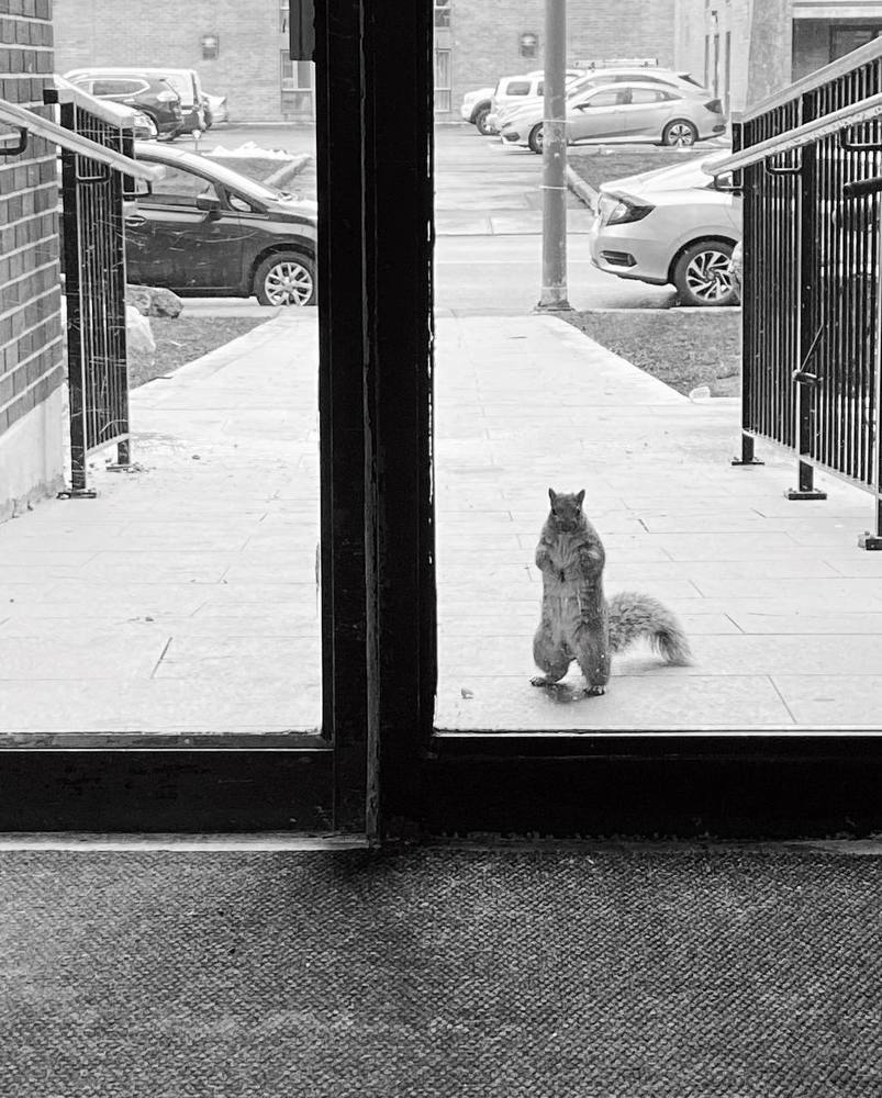 Photograph by anita parish