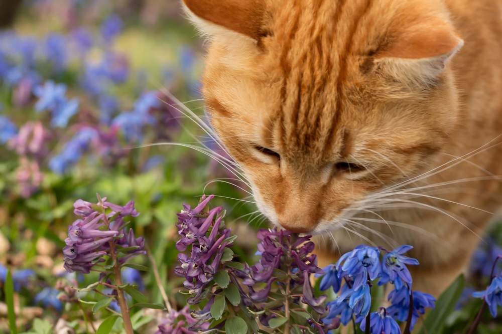 Photograph by Дарья Ващенко-Панкина