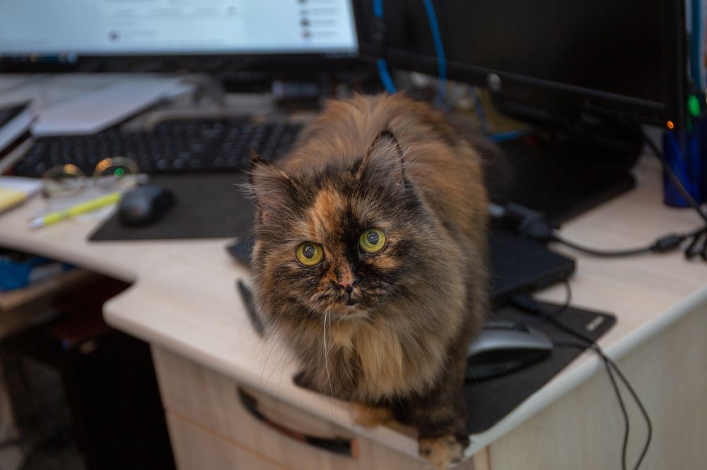 Photograph by Наталья Катюжанская