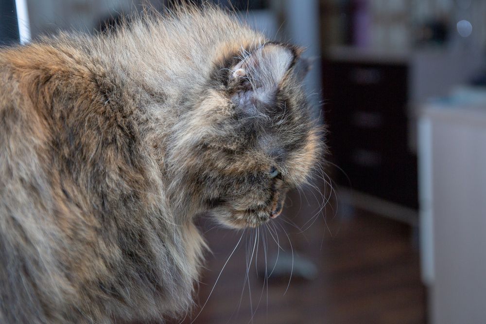 Photograph by Наталья Катюжанская