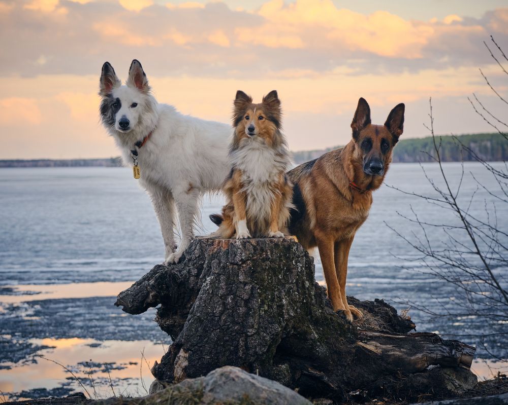 Photograph by Екатерина