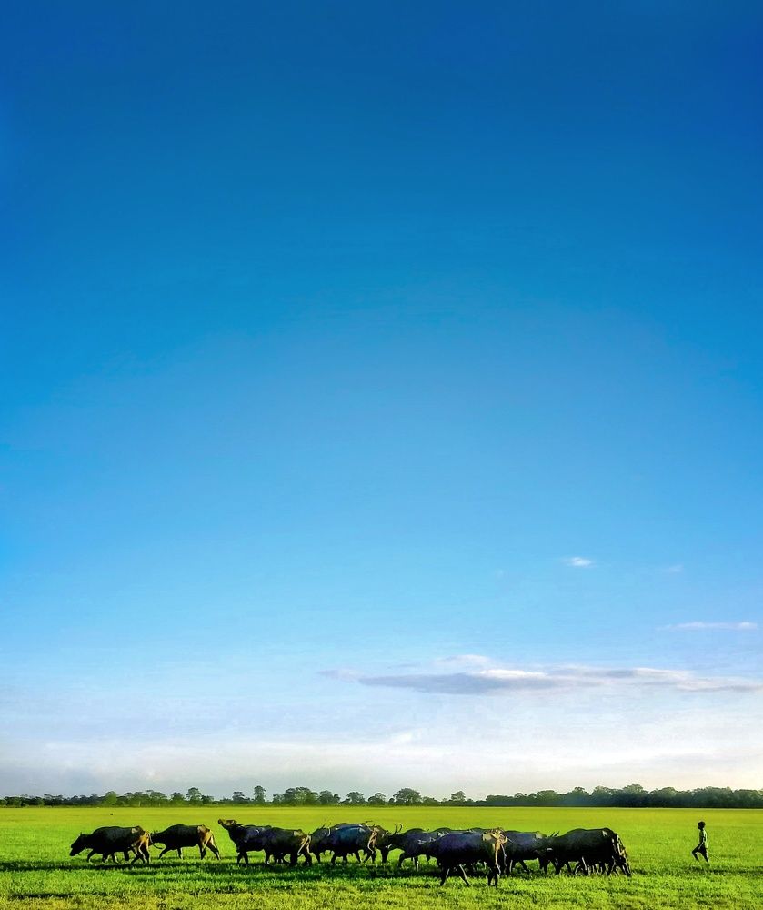 Photograph by Nishanta Borah