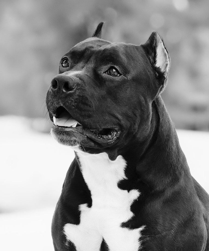 Photograph by Екатерина