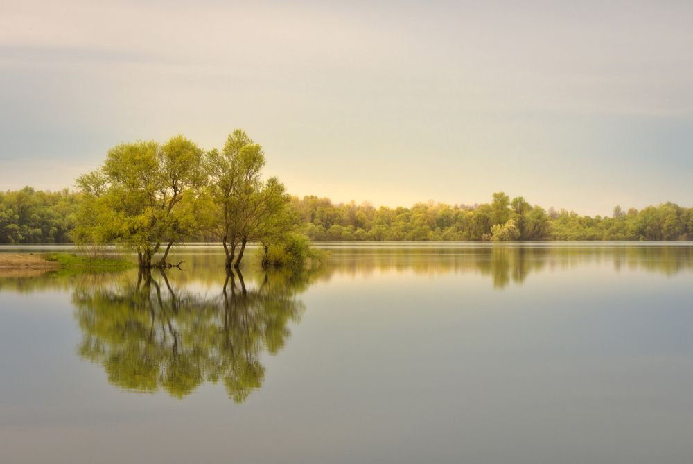 Photograph by Антон Литвин