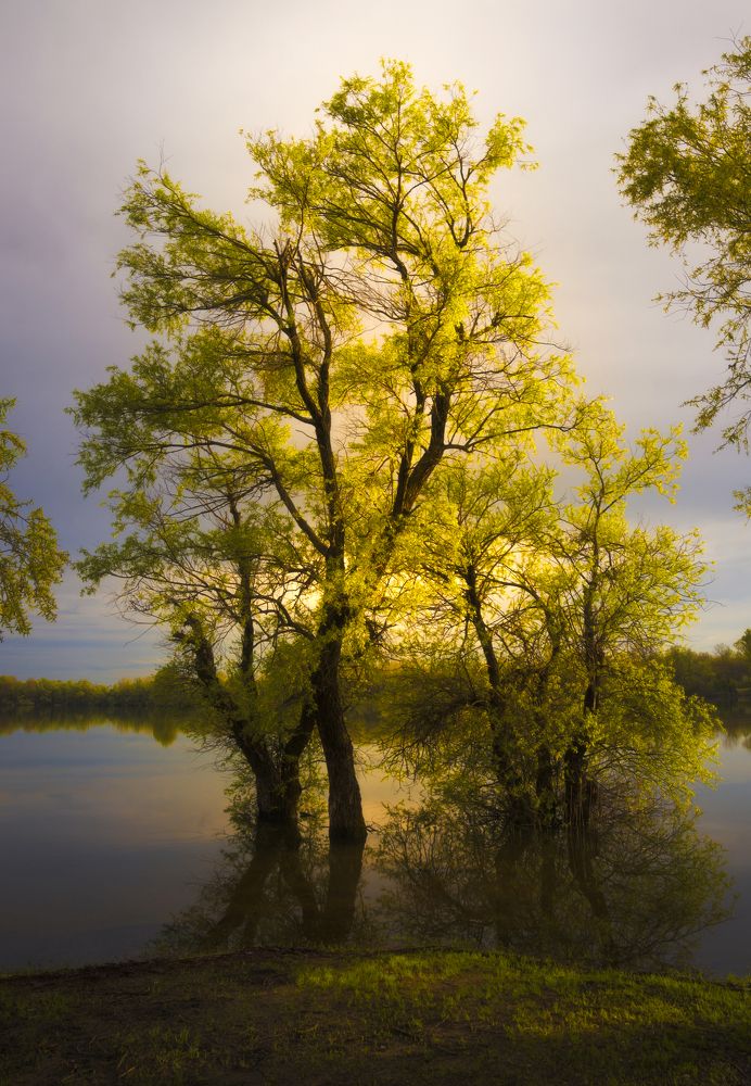 Photograph by Антон Литвин