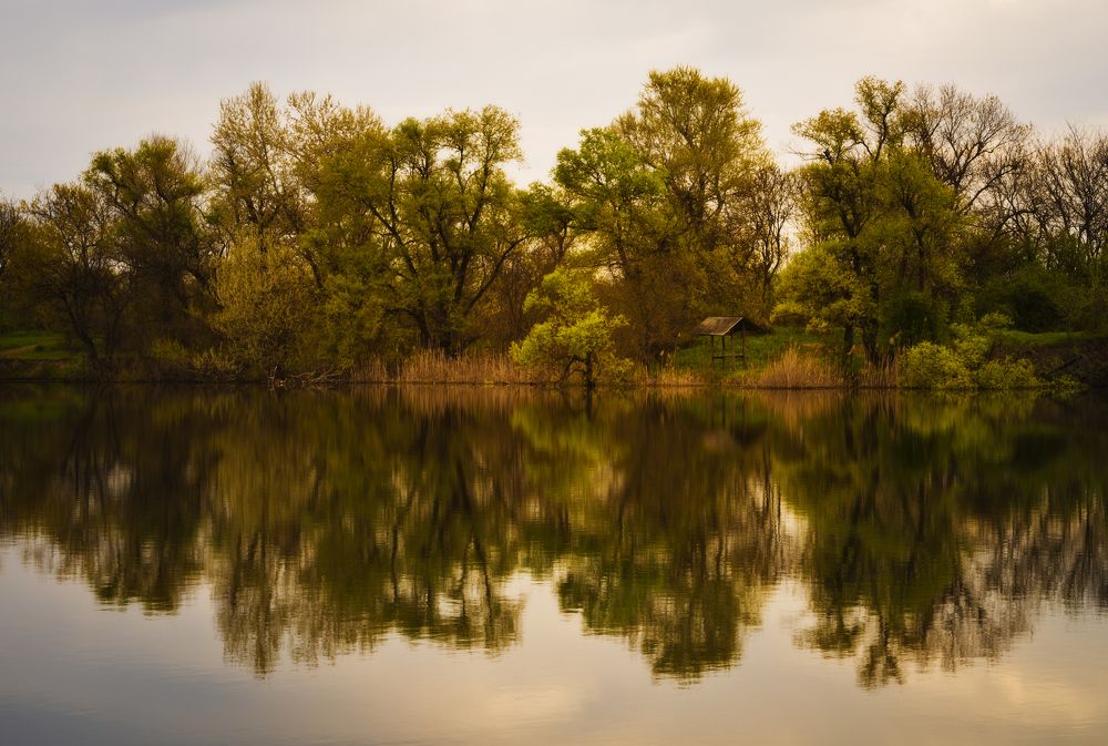 Photograph by Антон Литвин