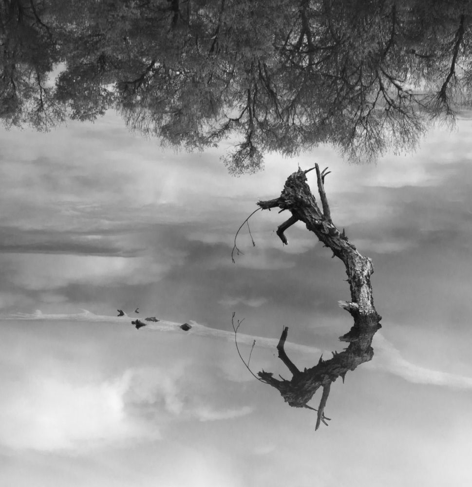 Photograph by Антон Литвин