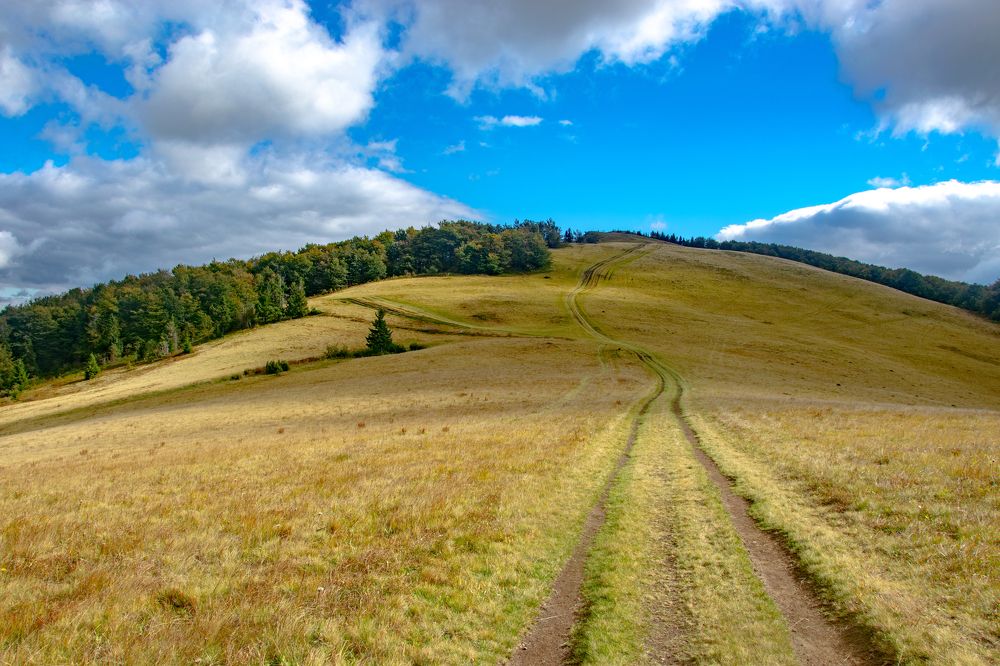 Photograph by Hanna Zapylaieva