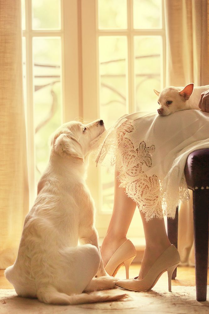 Фотография автора Ахтямова Рашида