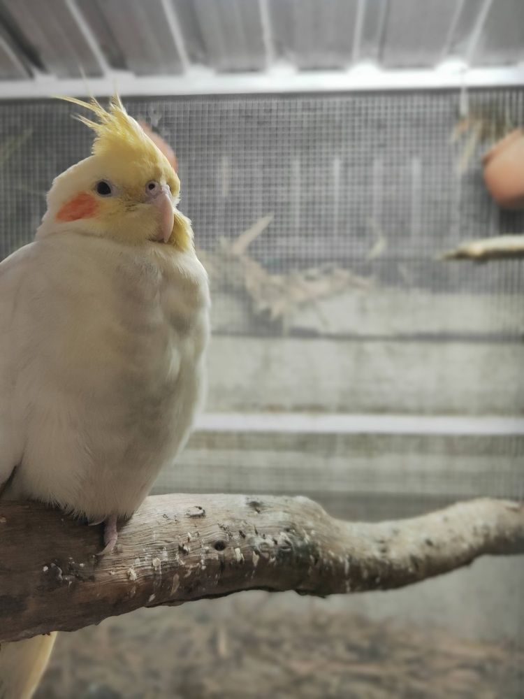 Photograph by Zeeshan Shaikh