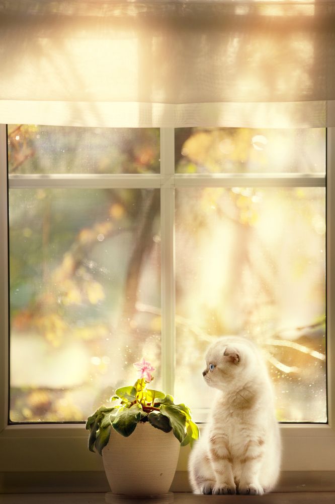 Фотография автора Ахтямова Рашида