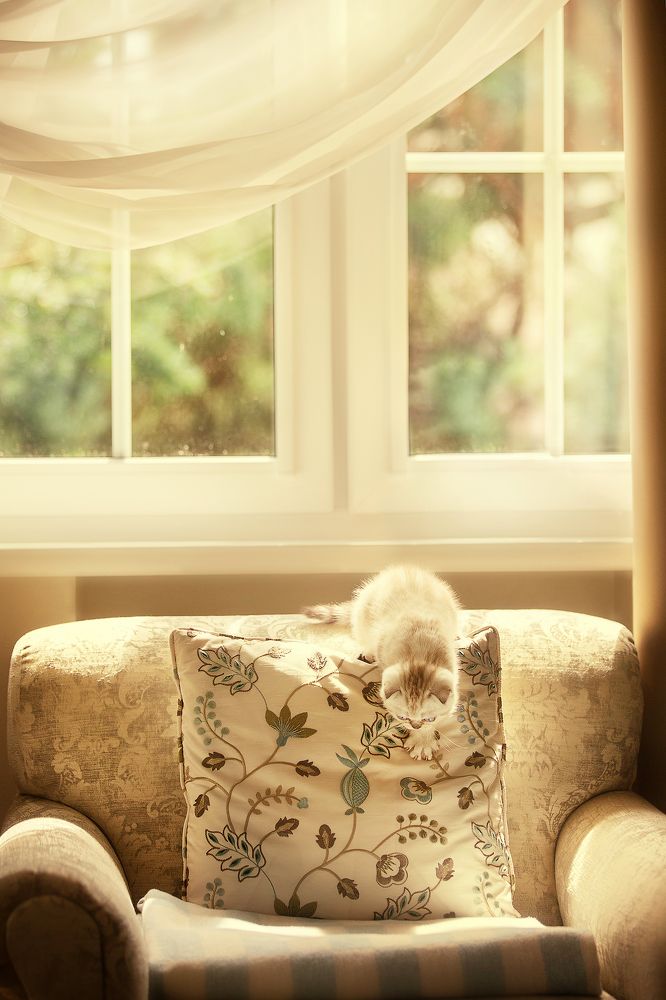 Фотография автора Ахтямова Рашида