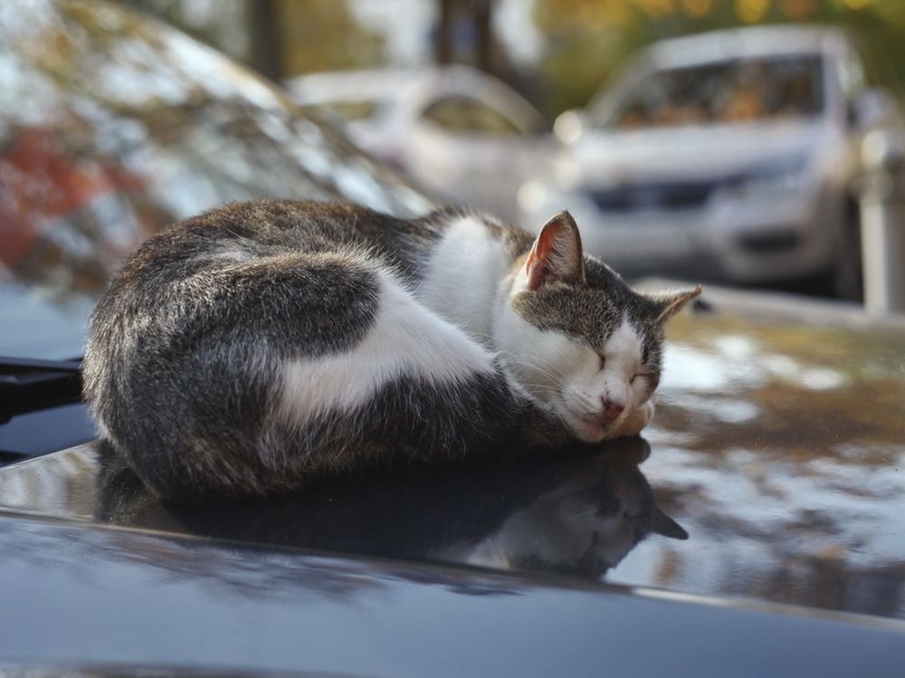 Photograph by Андрей Михайлин