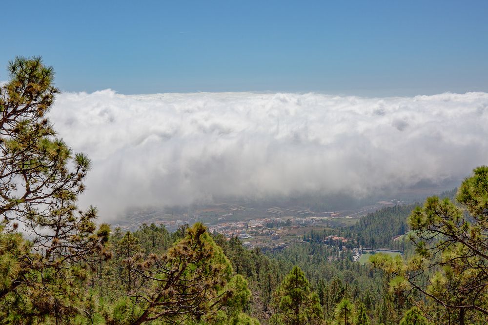 Photograph by Наталья Катюжанская