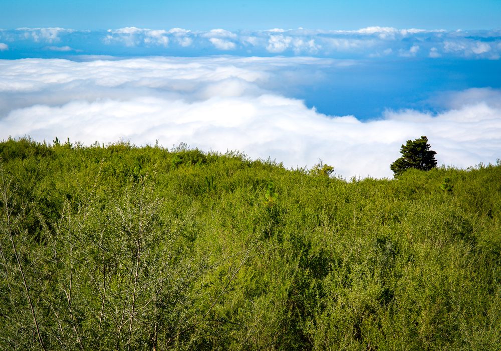 Photograph by Наталья Катюжанская