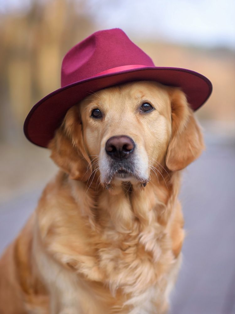 Photograph by  Vikki