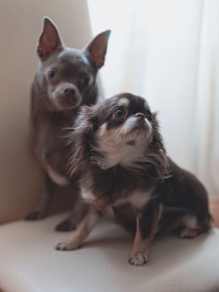 Photograph by Nadezhda Stoliarova