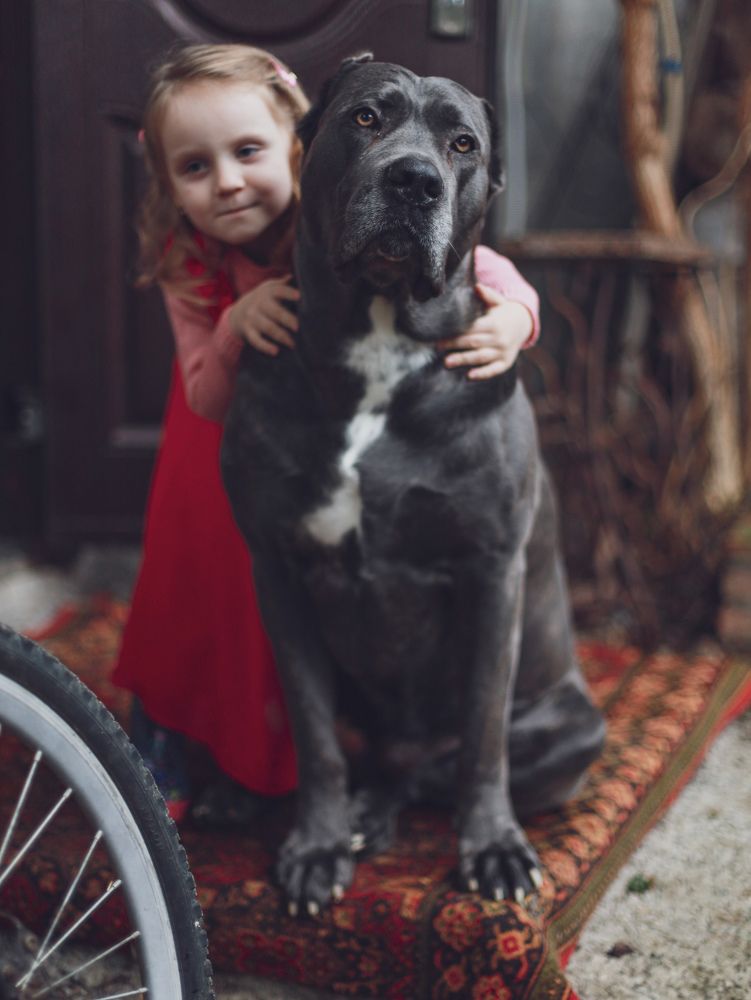 Photograph by Nadezhda Stoliarova