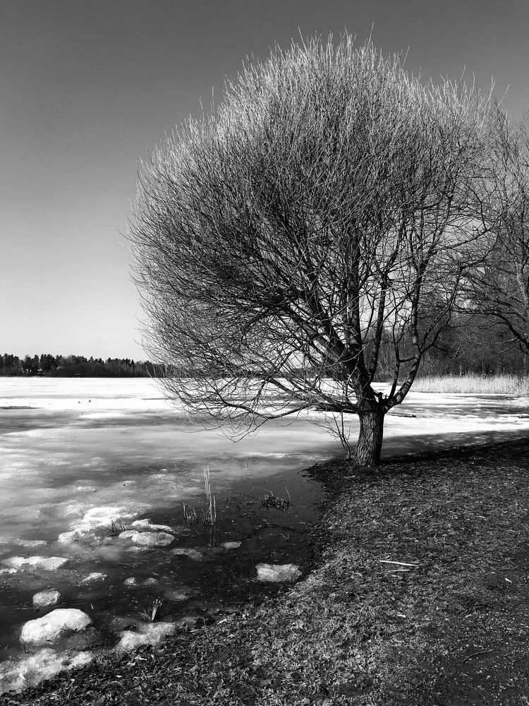 Photograph by Михаил Некрасов