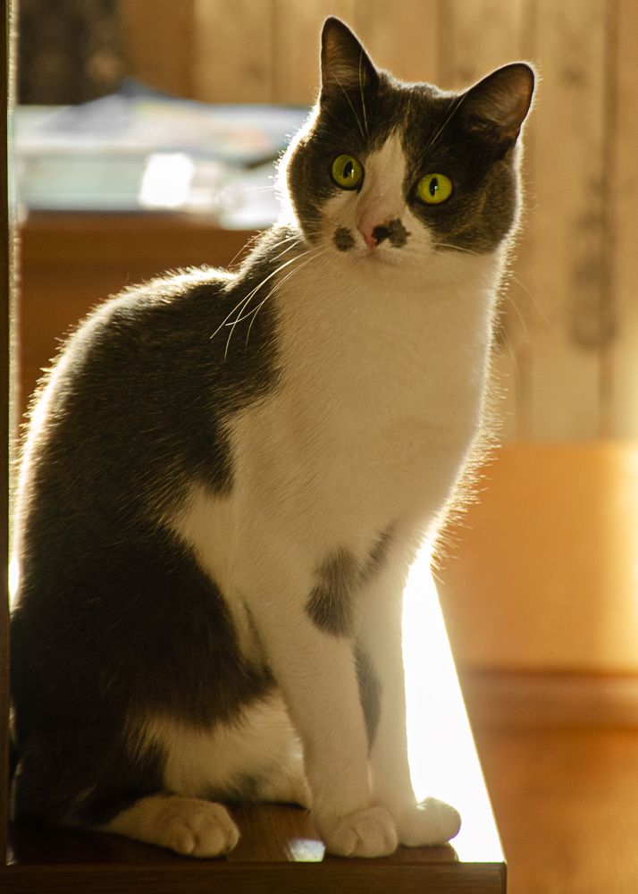 Photograph by Елена Коновалова