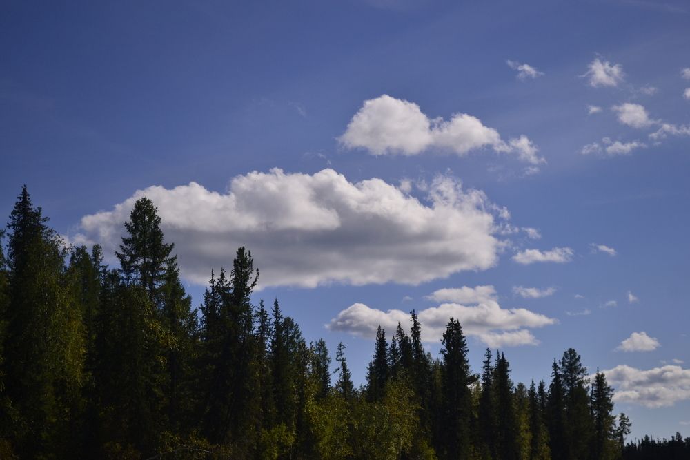 Photograph by Ярослава Синцова