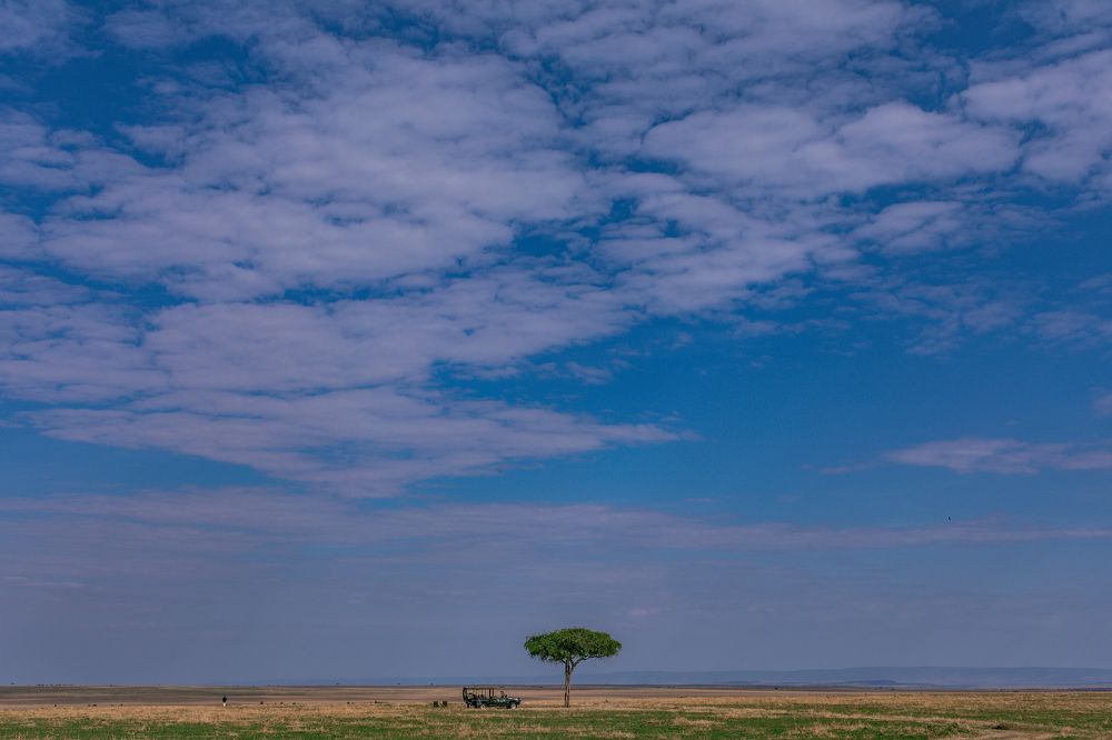 Photograph by Antony Trivet