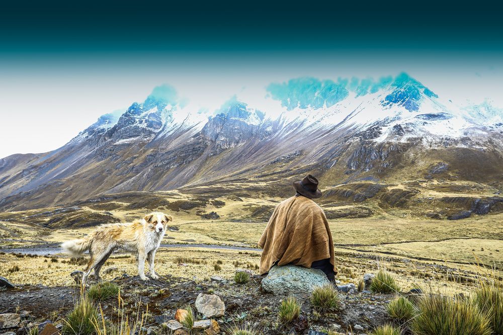 dog man's best friend